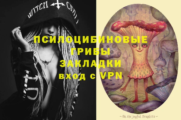сатива Ладушкин