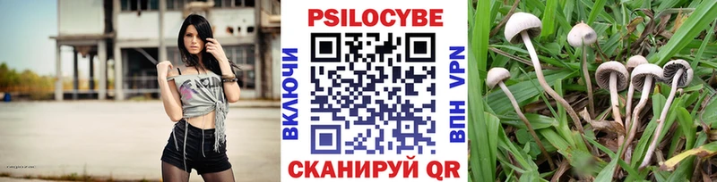 Псилоцибиновые грибы Psilocybe  Майский 